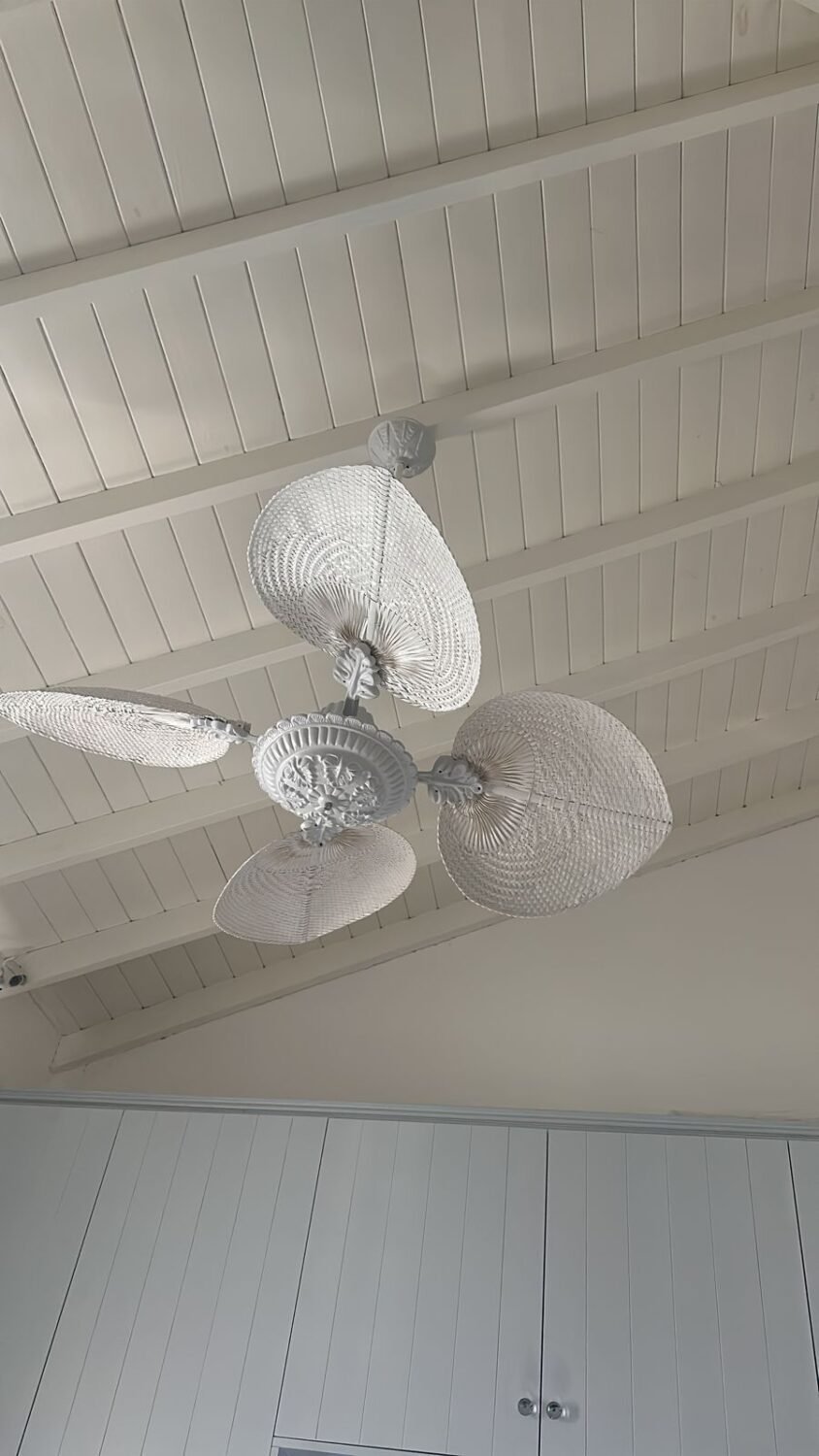 Ventilador de techo con palas de rattan Windlux